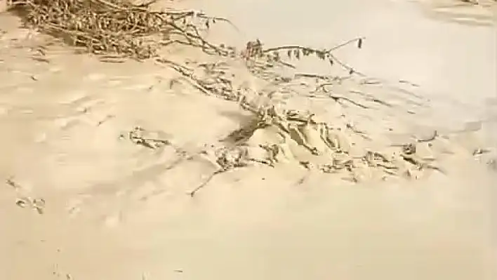 Baskil'de dereler taştı