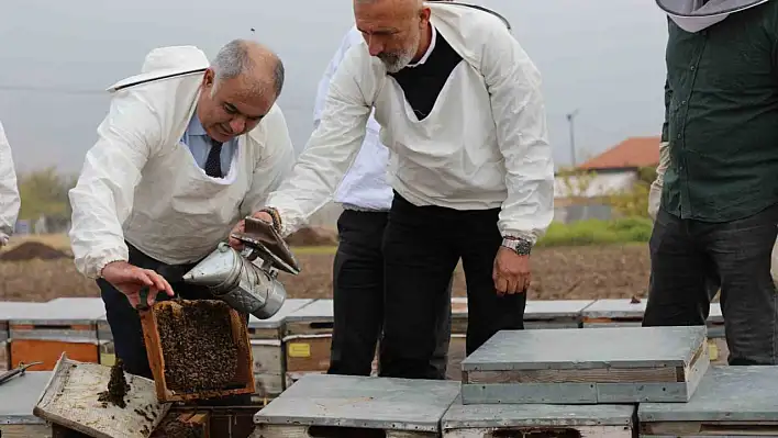 Elazığ'daki arı kovanları üzerinde incelemeler yapıldı.