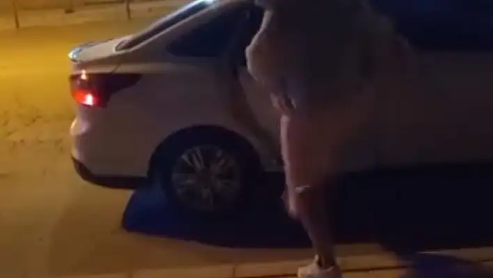 Elazığ'da bir kadın, tartıştığı kişinin arabasına saldırdı.