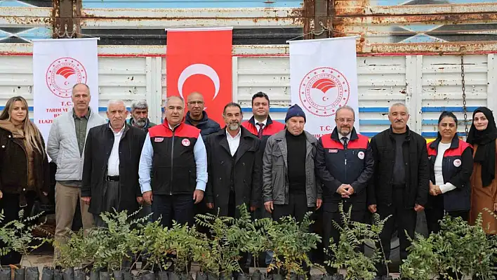 Elazığ'da sumak üretimi her geçen gün artış gösteriyor.