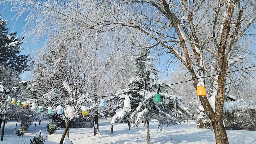 Elazığ'da etkili olan dondurucu soğuklar, kendini hissettirdi.Termometreler -22 dereceyi gösterdi.